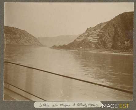 Le Rhin (Mayence)