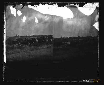 Travailleurs aux champs (Saillé)