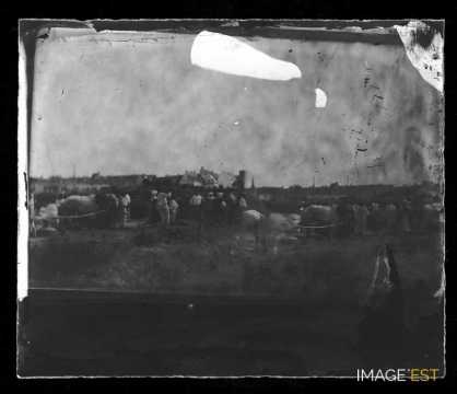 Groupe de travailleurs dans un champ (Saillé)