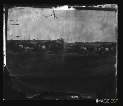 Groupe de travailleurs dans un champ (Saillé)