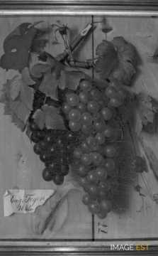 Grappes de raisin (1844)