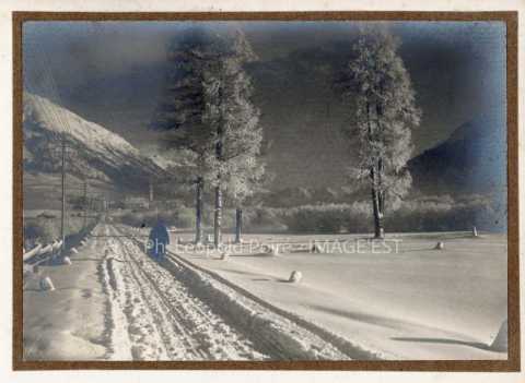 Paysage enneigé