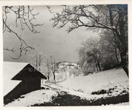 Paysage enneigé