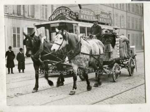 Chevaux tractant une charrette (Nancy)