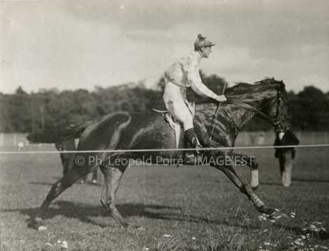 Course hippique