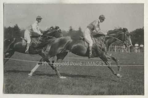Course hippique
