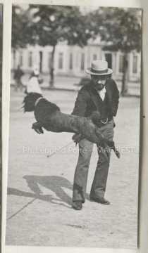 Chien qui saute