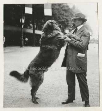 Chien et son maître