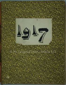 Journal de 1917 de Léopold Poiré (Nancy)