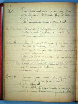 Journal de 1917 de Léopold Poiré (Nancy)