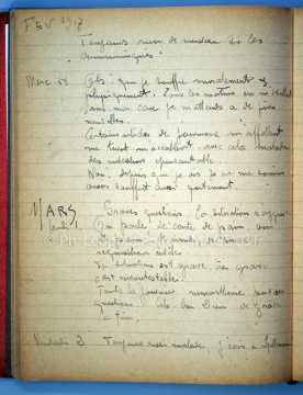 Journal de 1917 de Léopold Poiré (Nancy)