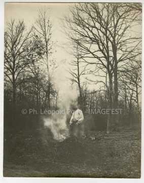 Feu de bois
