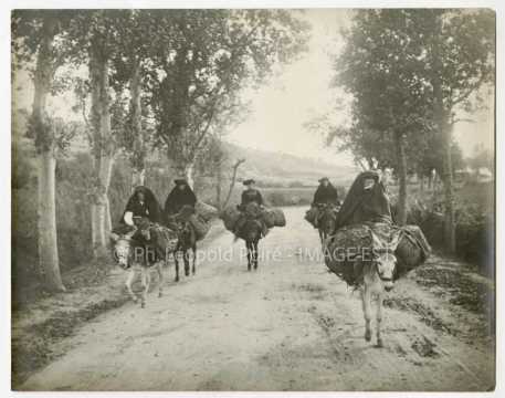 Femmes à dos d'ânes
