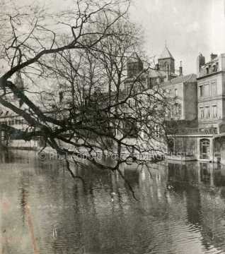 La Moselle (Metz)
