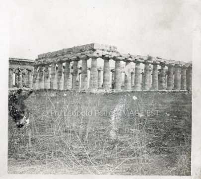 Temple de Neptune (Paestum)