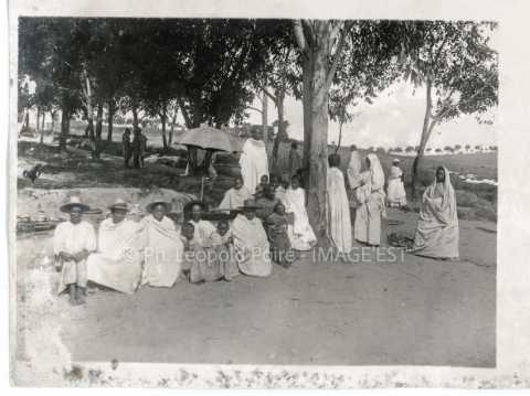 Groupe sous des arbres