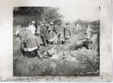 Cuisson d'un bouc