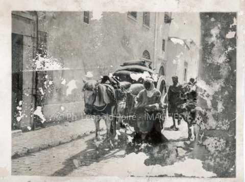 Chariot de marchandises (Tunis ?)