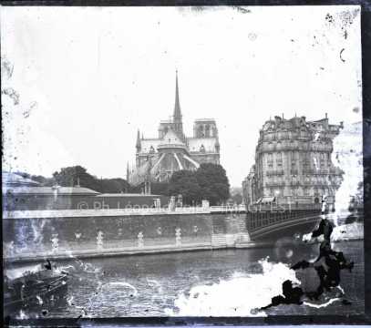 Cathédrale Notre-Dame (Paris)