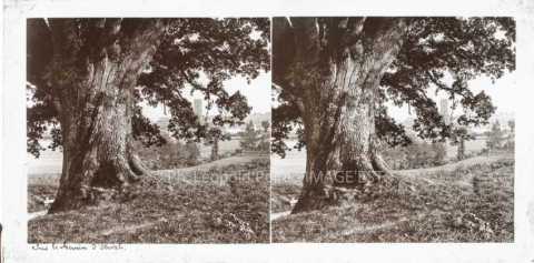 Sur le chemin d'Étival (Étival)
