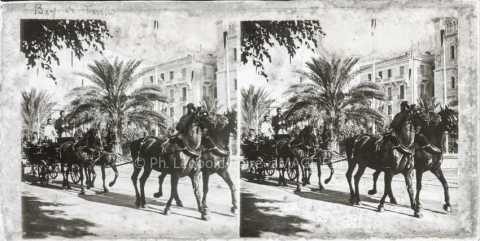 Hédi Bey (1855-1906)