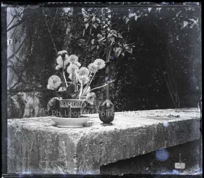 Pots de fleurs