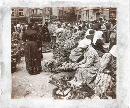 Marché d'asperges