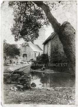 Fillette au bord d'un ruisseau