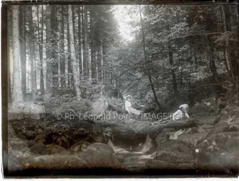 Enfants dans une forêt