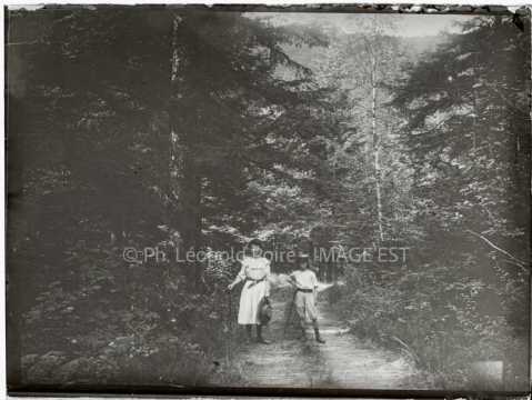 Enfants en forêt