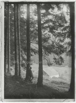 Promeneur dans une forêt