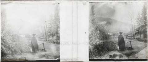 Au bord d'un chemin