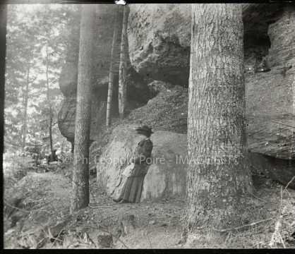 Dans une forêt