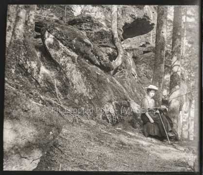Dans une forêt