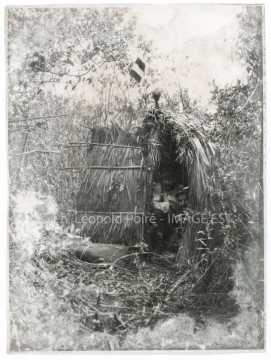 Abri de camouflage