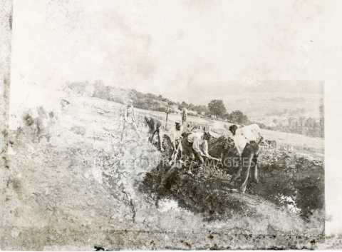 Fosse commune
