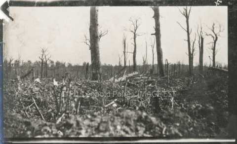 Paysage de ruines