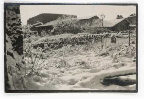 Paysage d'hiver