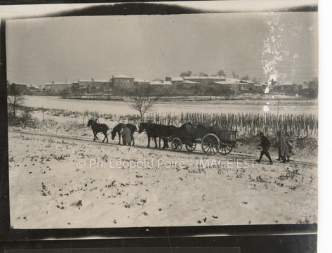 Attelage de chevaux (Amance)