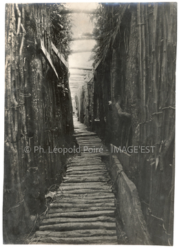 Tranchée (Verdun)