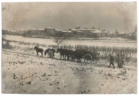Attelage de chevaux (Amance)