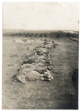 Cadavres allemands