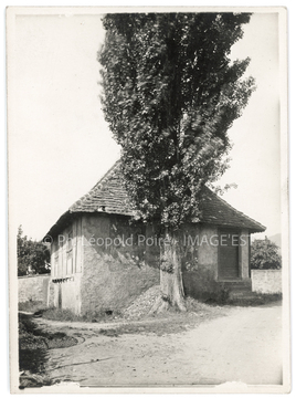 Cabane des bangards (Thann)