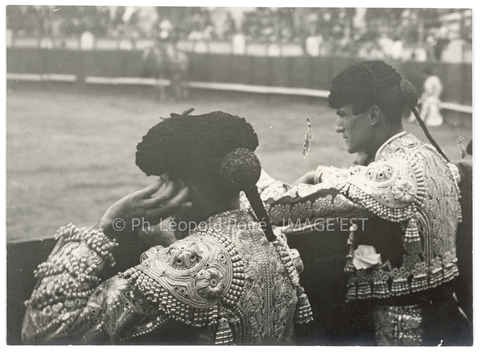 Matadors