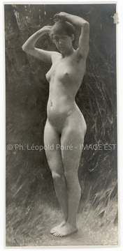 Nymphe