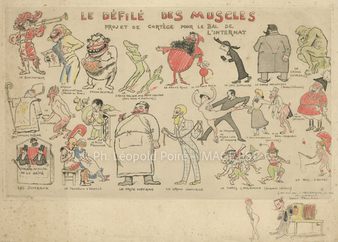 Illustration " Le Défilé des Muscles "