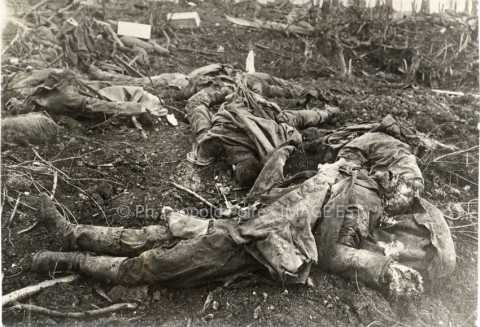 Cadavres allemands