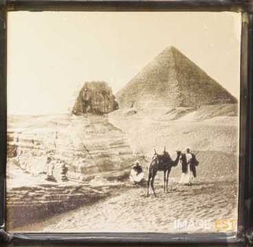 Sphinx de Gizeh (Égypte)