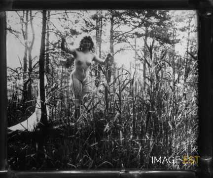 Femme nue dans les hautes herbes