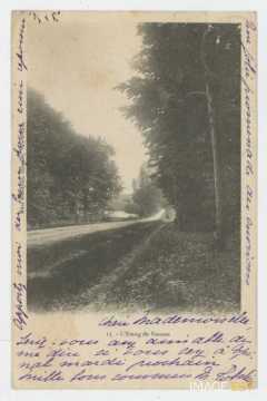 Étang de Vannes (Escles)